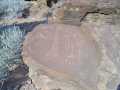 Rock Engravings Twyfelfontein