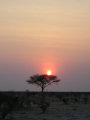 Sunrise over Etosha National Park